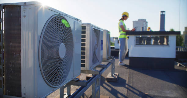 Best Air Duct Mold Removal  in Hillsboro, MO