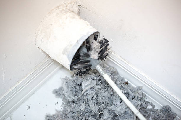 Best Professional Duct Cleaning Services  in Hillsboro, MO